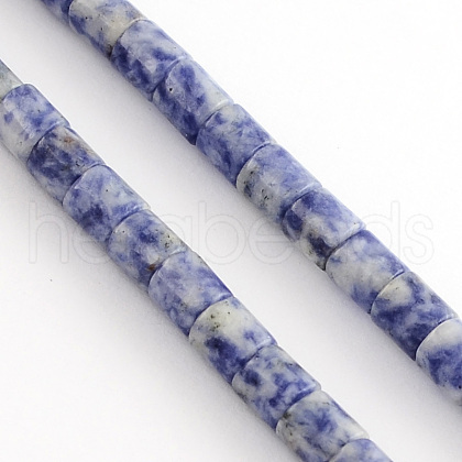 Natural Blue Spot Jasper Bead Strands G-R187-06-1