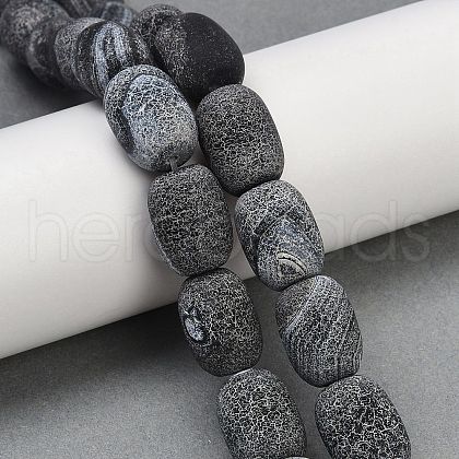 Natural Weathered Agate Beads Strands G-NH0047-B09-02-1