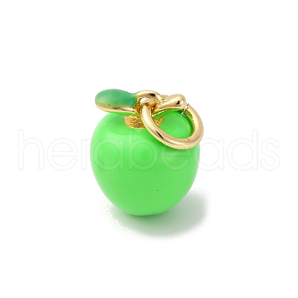 Brass Enamel Charms KK-Q098-33G-B-1