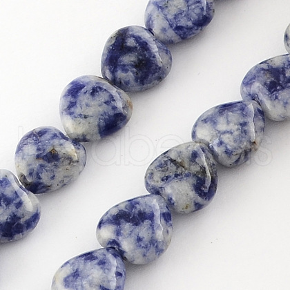 Natural Blue Spot Jasper Bead Strands G-R190-04-1