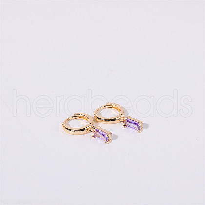 Brass Micro Pave Cubic Zirconia Hoop Earrings WGF8540-02-1