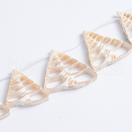 Natural Trochid Shell/Trochus Shell Beads Strands SSHEL-L016-16-1