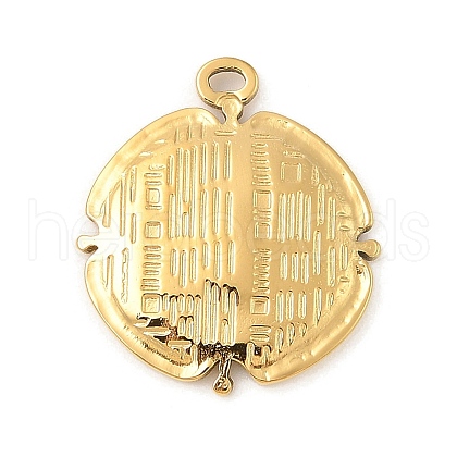 304 Stainless Steel Pendants STAS-F312-17G-1