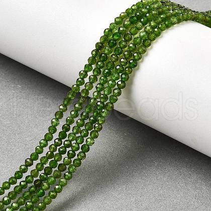 Natural Green Diopside Beads Strands G-NH0046-A01-01-1