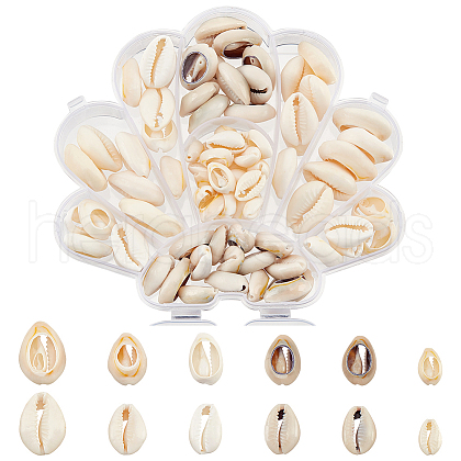 HOBBIESAY 6 Styles Natural Mixed Cowrie Shell Beads BSHE-HY0001-01-1