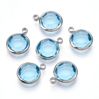 K9 Glass Charms X1-GLAA-T023-37B-04-1