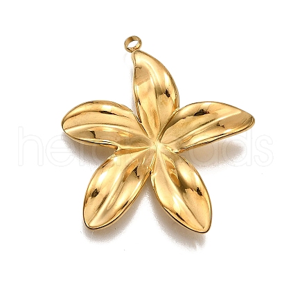 304 Stainless Steel Pendants STAS-M116-03G-1