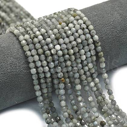 Natural Labradorite Beads Strands G-A260-A44-01B-1