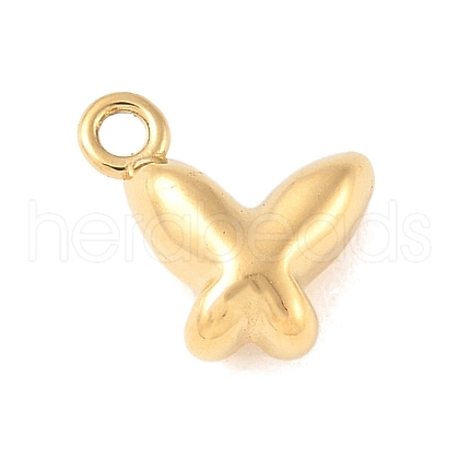 304 Stainless Steel Charms STAS-Q351-04G-1