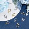 BENECREAT 20 Pairs 2 Colors Brass Earring Hooks KK-BC0007-63-4