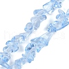 Transparent Glass Beads Strands GLAA-Z009-01D-1
