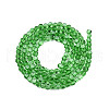 Transparent Glass Beads Strands GLAA-N052-05-C02-2