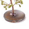Natural Peridot Chips & Agate Pedestal Display Decorations DJEW-A001-04E-4