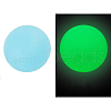 Round Luminous Silicone Beads LUMI-PW0004-009B-02-1