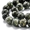 Natural Green Zebra Jasper Beads Strands G-L574-05B-3