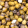 Natural Mookaite Display Decorations WG22828-13-1