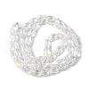 Transparent Electroplate Glass Beads Strands EGLA-F157-AB01-3
