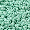 Baking Paint Glass Seed Beads SEED-K009-01A-05-3