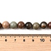 Natural Picture Jasper Beads Strands G-S390-07-8mm-5