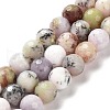 Natural African Opal Beads Strands G-K345-A03-02-1