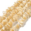 Natural Trochus Shell Beads Strands SHEL-K006-38-1