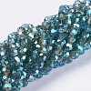 Glass Beads Strands EGLA-F120-M01-4