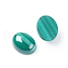 Natural Malachite Cabochons G-E557-03D-1