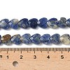 Natural Sodalite Beads Strands G-D316-B08-4