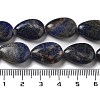 Natural Sodalite Beads Strands G-P528-L02-01-5