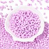 Opaque Baking Paint Glass Seed Beads SEED-T008-02S-2