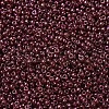MIYUKI Round Rocailles Beads SEED-G007-RR1883-2