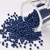 11/0 Grade A Baking Paint Glass Seed Beads X-SEED-N001-A-1012-1