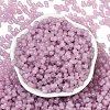 Transparent Colours Glass Seed Beads SEED-R001-01T-3