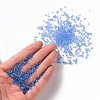 Glass Seed Beads X1-SEED-A004-3mm-6-4