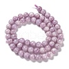 Natural Lepidolite Beads Strands G-H247-11E-3