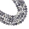 ARRICRAFT Round Frosted Natural Black Silk Stone/Netstone Bead Strands G-AR0002-32-1