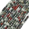 Natural African Bloodstone Beads Strands G-A260-A38-01-2