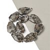 Natural Syenite Beads Strands G-P548-B26-01-2