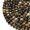 Natural Petrified Wood Beads Strands G-P573-A32-01-3