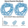 Beebeecraft 2 Strands Natural Kyanite Beads Strands G-BBC0001-46-2