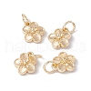Rack Plating Alloy Charms X-FIND-G036-02LG-3