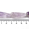 Natural Amethyst Beads Strands G-P528-H15-01-5