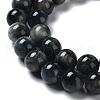 Natura Hawk's Eye Beads Strands G-D0001-22B-8mm-01-2