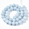 Natural Chalcedony Beads Strands G-S333-10mm-004-2