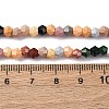 Handmade Lampwork Beads Strands LAMP-R020-02D-4