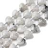 Natural Labradorite Beads Strands G-P570-E18-01-2