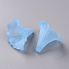 Transparent Acrylic Beads BSF796-C27-3