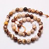 Natural Zebra Jasper Beads Strands G-G542-8mm-09-2