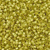 MIYUKI Delica Beads X-SEED-J020-DB2187-3