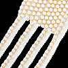   5 Yards Polyester Ribbons OCOR-PH0004-03-8